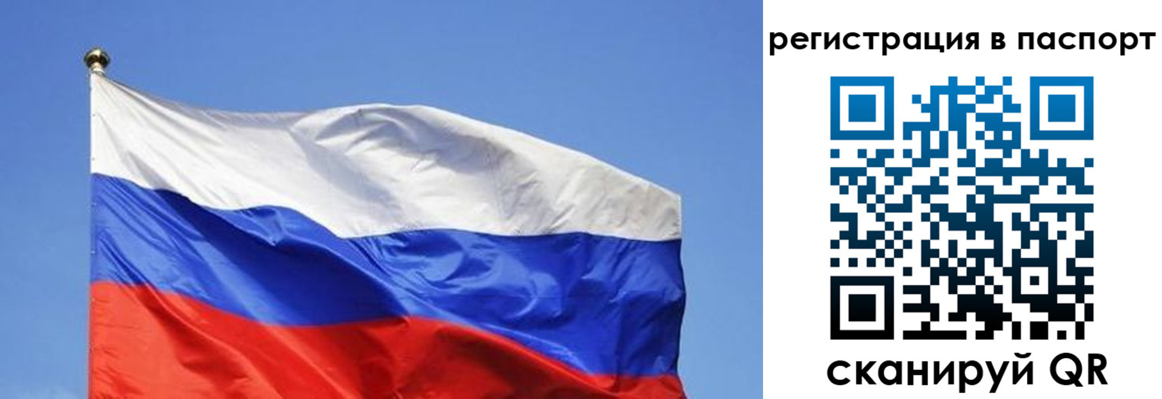 прописка в квартире в Коряжме